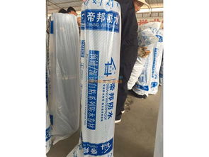 蘭州防水工程優(yōu)選 甘肅帝邦建筑防水材料，打造卓越建筑防護(hù)